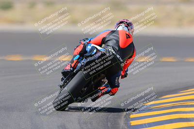 media/Oct-08-2022-SoCal Trackdays (Sat) [[1fc3beec89]]/Turn 11 Backside (1145am)/